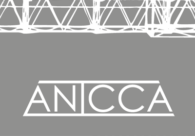 Anicca Engineering
